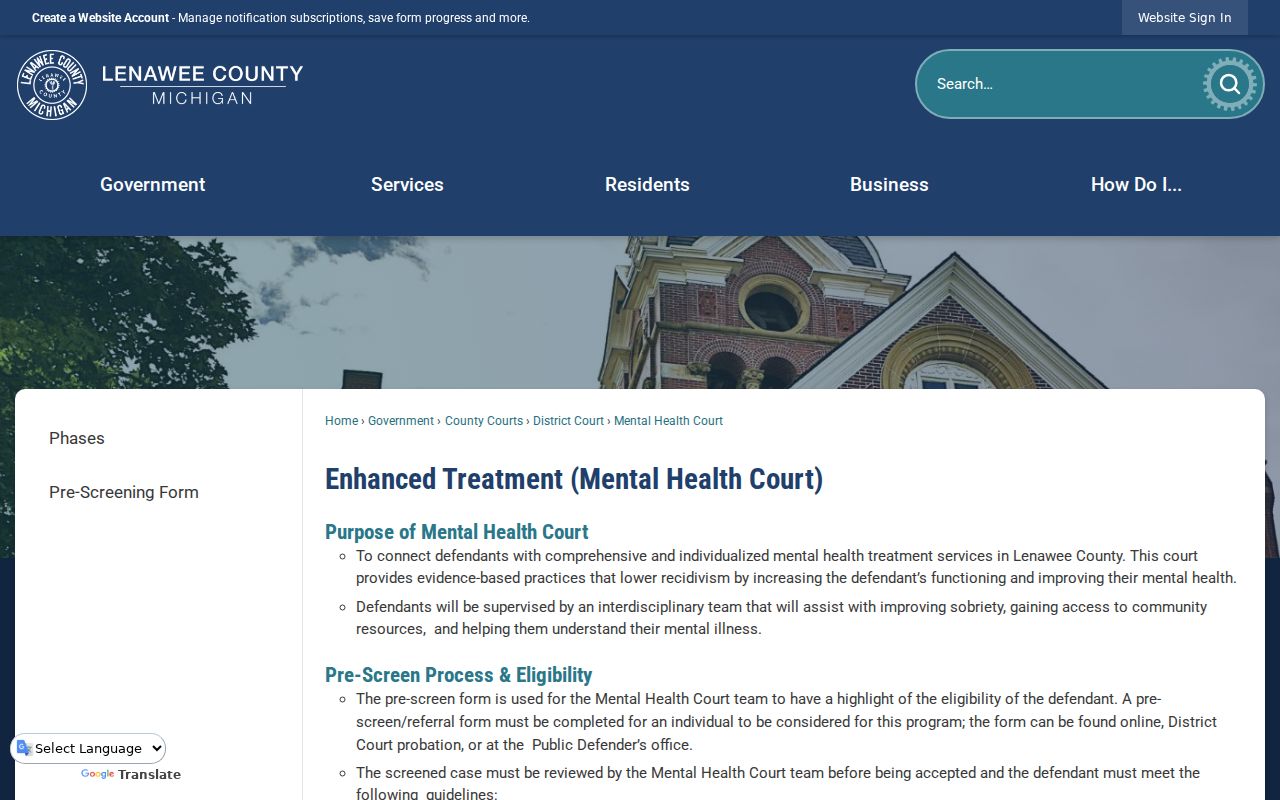 Lenawee County criminal docket Mental Health Court program